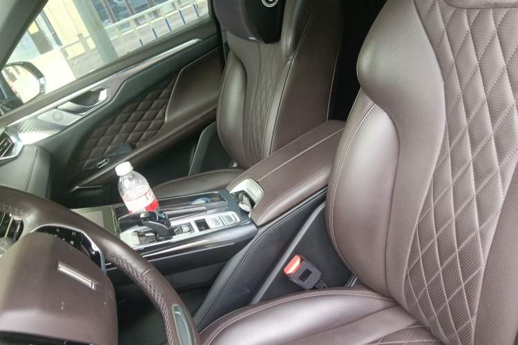 Used Wey Mocha 2021 2.0T Two-Wheel-Drive Premium Edition Left Front Seat