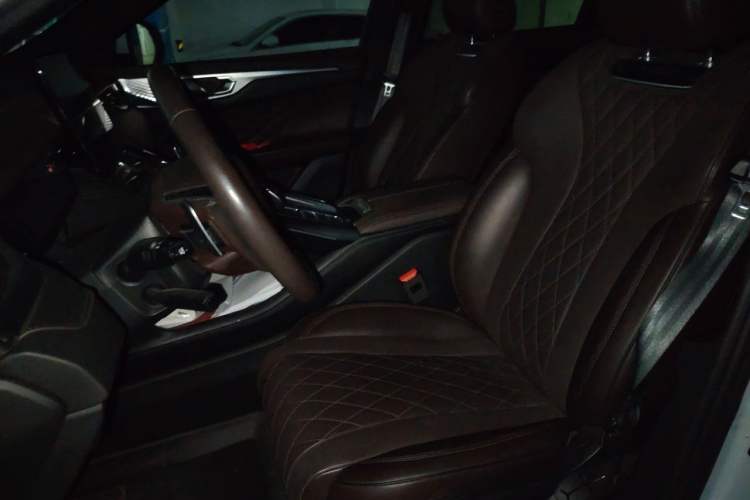 Used Wey Mocha 2021 2.0T Four-Wheel Drive Premium Edition Left Front Seat