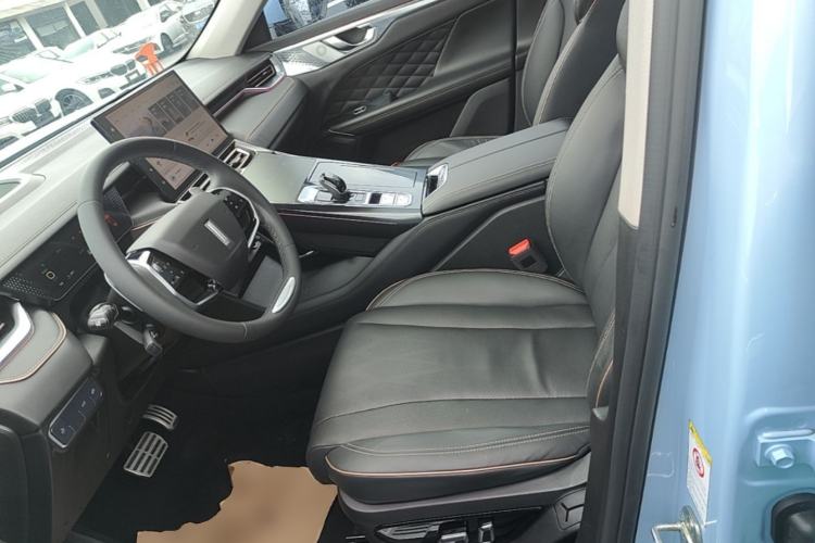 Used Wey Mocha 2021 2.0T Two-Wheel-Drive Ultra-Strong Version Left Front Seat