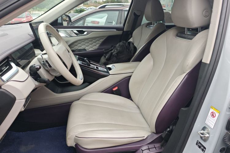 Used Wey Mocha 2021 2.0T Two-Wheel-Drive Ultra-Strong Version Left Front Seat