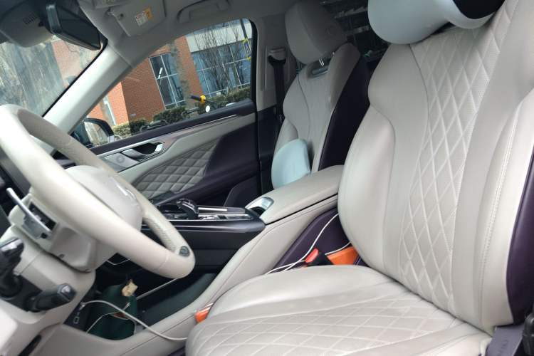 Used Wey Mocha 2021 2.0T Two-Wheel-Drive Premium Edition Left Front Seat