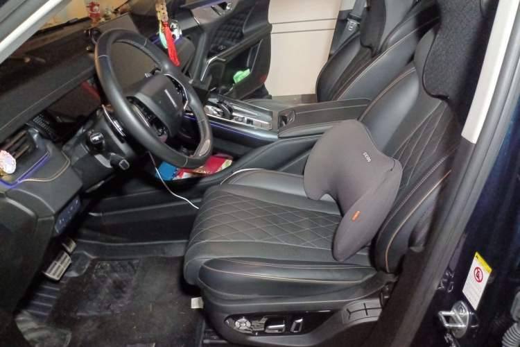 Used Wey Mocha 2021 2.0T Two-Wheel-Drive Premium Edition Left Front Seat