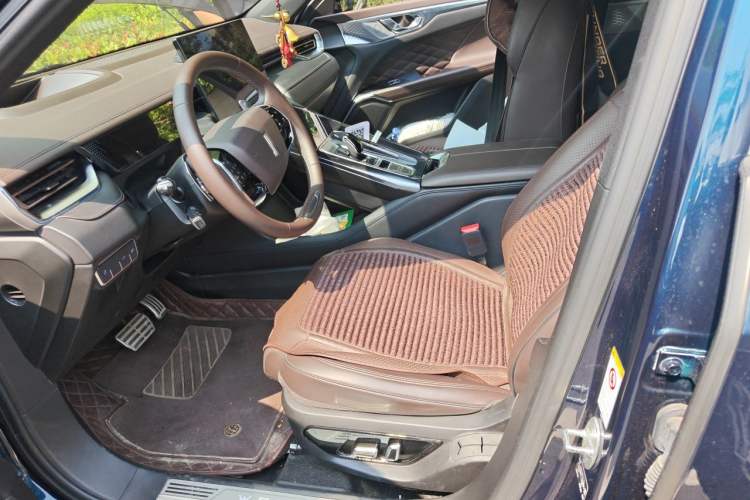 Used Wey Mocha 2021 2.0T Two-Wheel-Drive Ultra-Strong Version Left Front Seat
