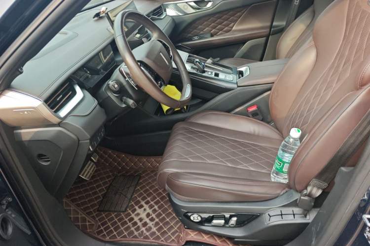 Used Wey Mocha 2021 2.0T Two-Wheel-Drive Premium Edition Left Front Seat