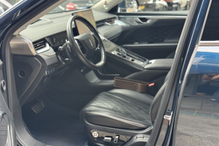 Used Wey Mocha 2021 2.0T Two-Wheel-Drive Premium Edition Left Front Seat