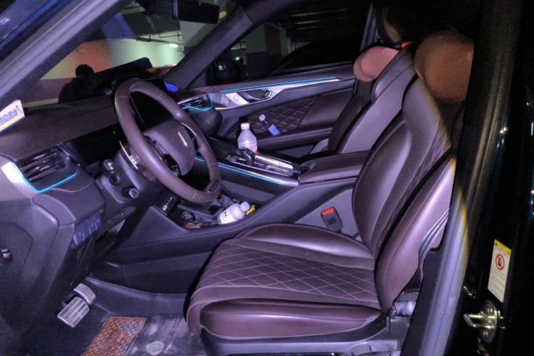 Used Wey Mocha 2021 2.0T Two-Wheel-Drive Premium Edition Left Front Seat