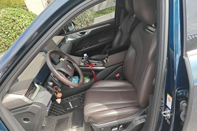 Used Wey Mocha 2021 2.0T Two-Wheel-Drive Ultra-Strong Version Left Front Seat