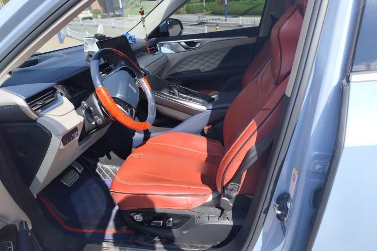 Used Wey Mocha 2021 2.0T Two-Wheel-Drive Premium Edition Left Front Seat