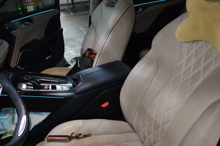 Used Wey Mocha 2021 2.0T Two-Wheel-Drive Premium Edition Left Front Seat