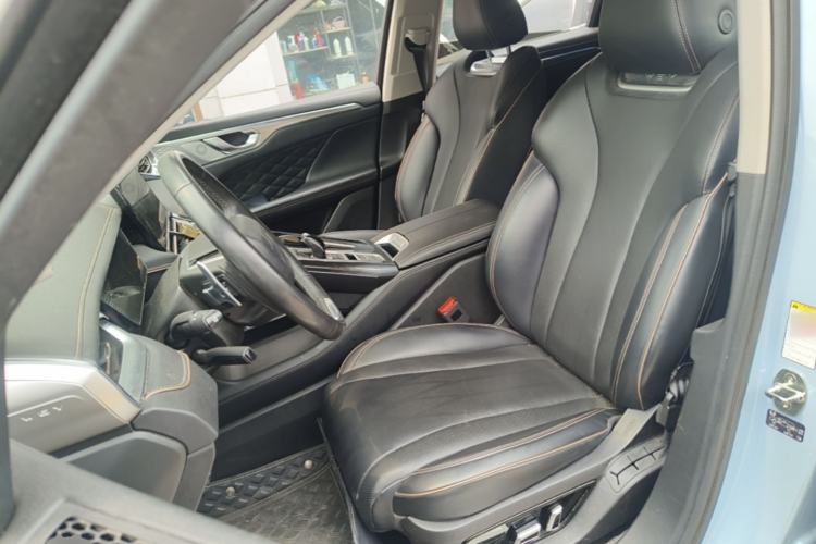 Used Wey Mocha 2021 2.0T Two-Wheel-Drive Ultra-Strong Version Left Front Seat