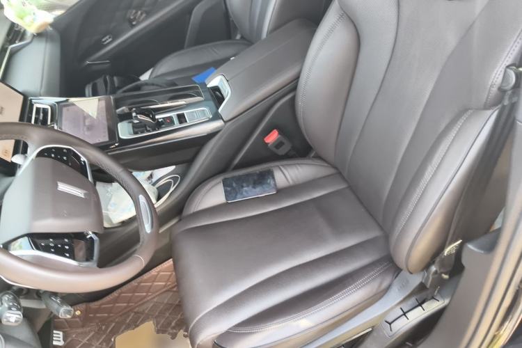 Used Wey Mocha 2021 2.0T Two-Wheel-Drive Ultra-Strong Version Left Front Seat