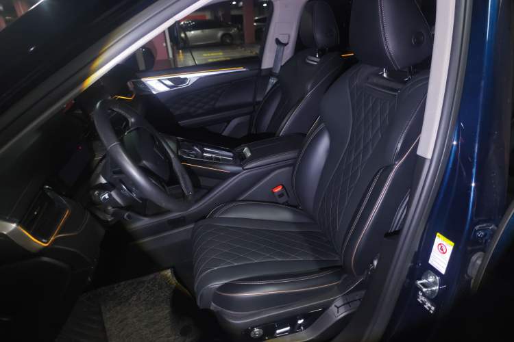 Used Wey Mocha 2021 2.0T Two-Wheel-Drive Premium Edition Left Front Seat