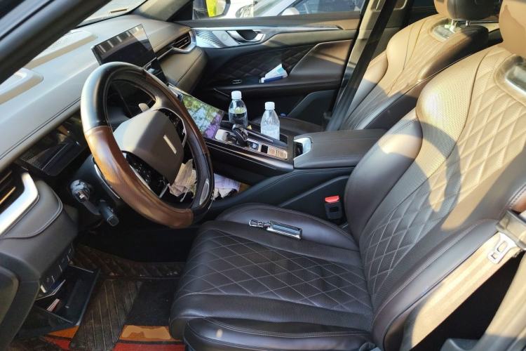 Used Wey Mocha 2021 2.0T Four-Wheel Drive Premium Edition Left Front Seat