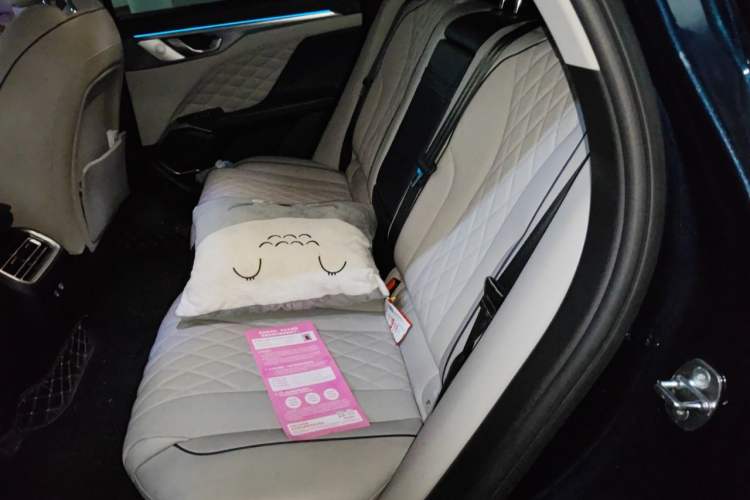 Used Wey Mocha 2021 2.0T Two-Wheel-Drive Premium Edition Left Rear Seat