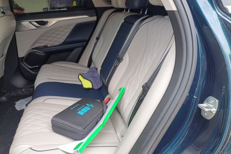 Used Wey Mocha 2021 2.0T Two-Wheel-Drive Premium Edition Left Rear Seat