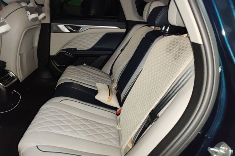 Used Wey Mocha 2021 2.0T Four-Wheel Drive Premium Edition Left Rear Seat