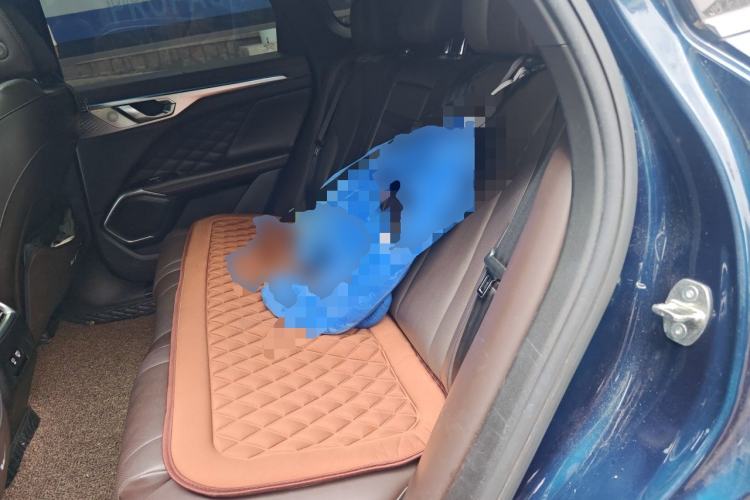 Used Wey Mocha 2021 2.0T Two-Wheel-Drive Premium Edition Left Rear Seat