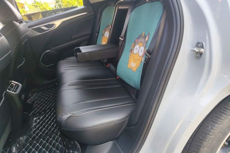 Used Wey Mocha 2021 2.0T Two-Wheel Drive Special Edition Left Rear Seat