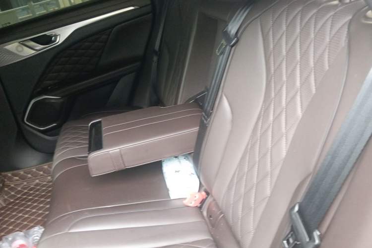 Used Wey Mocha 2021 2.0T Two-Wheel-Drive Premium Edition Left Rear Seat