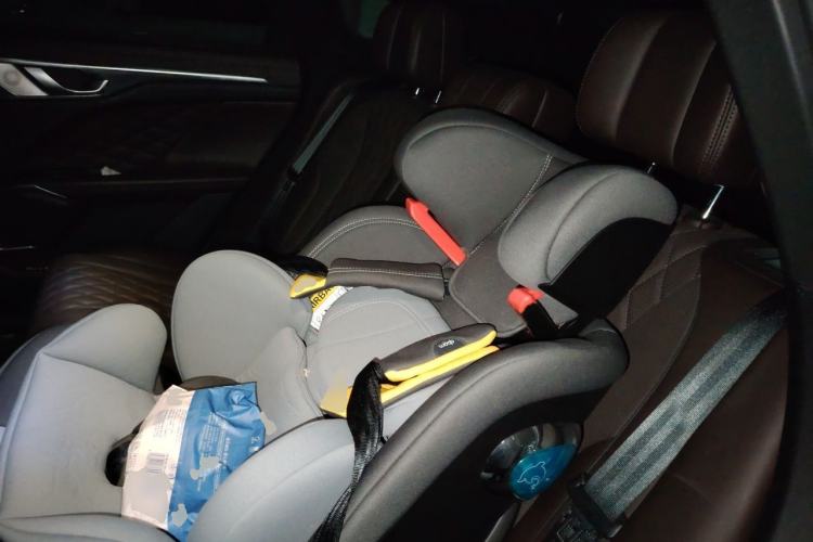 Used Wey Mocha 2021 2.0T Four-Wheel Drive Premium Edition Left Rear Seat