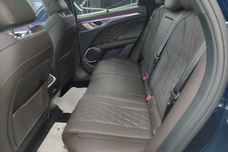 Used Wey Mocha 2021 2.0T Two-Wheel-Drive Premium Edition Left Rear Seat