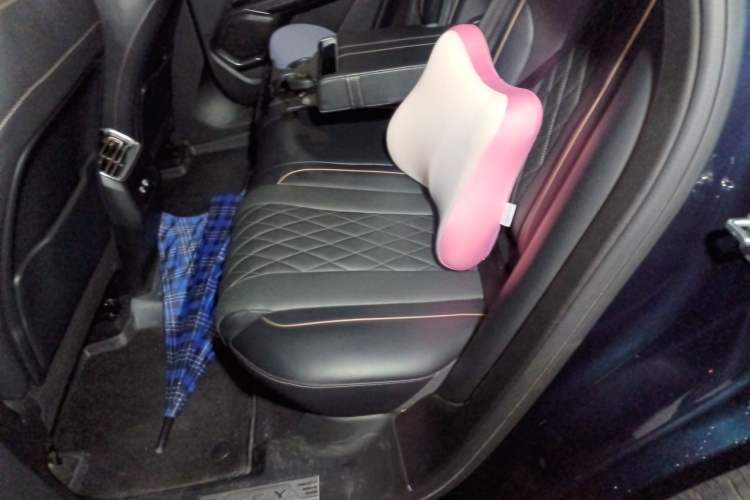 Used Wey Mocha 2021 2.0T Two-Wheel-Drive Premium Edition Left Rear Seat