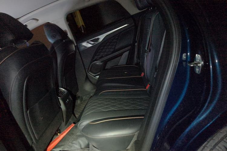 Used Wey Mocha 2021 2.0T Two-Wheel-Drive Premium Edition Left Rear Seat