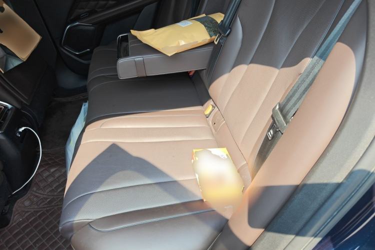 Used Wey Mocha 2021 2.0T Two-Wheel-Drive Ultra-Strong Version Left Rear Seat