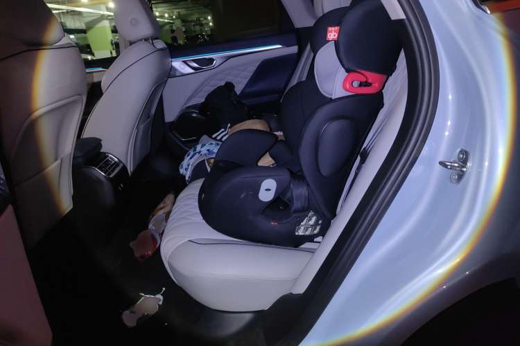 Used Wey Mocha 2021 2.0T Two-Wheel-Drive Premium Edition Left Rear Seat
