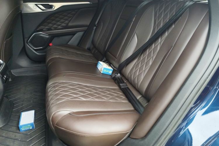 Used Wey Mocha 2021 2.0T Two-Wheel-Drive Premium Edition Left Rear Seat