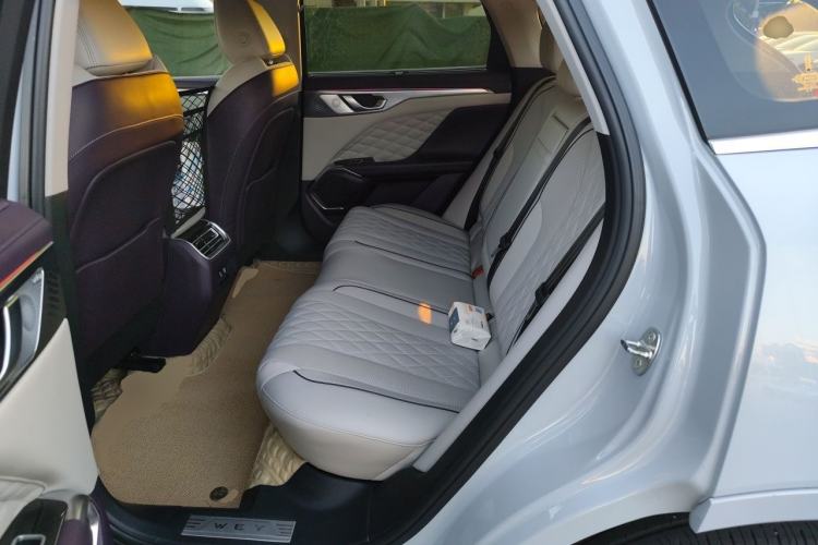 Used Wey Mocha 2021 2.0T Two-Wheel-Drive Premium Edition Left Rear Seat