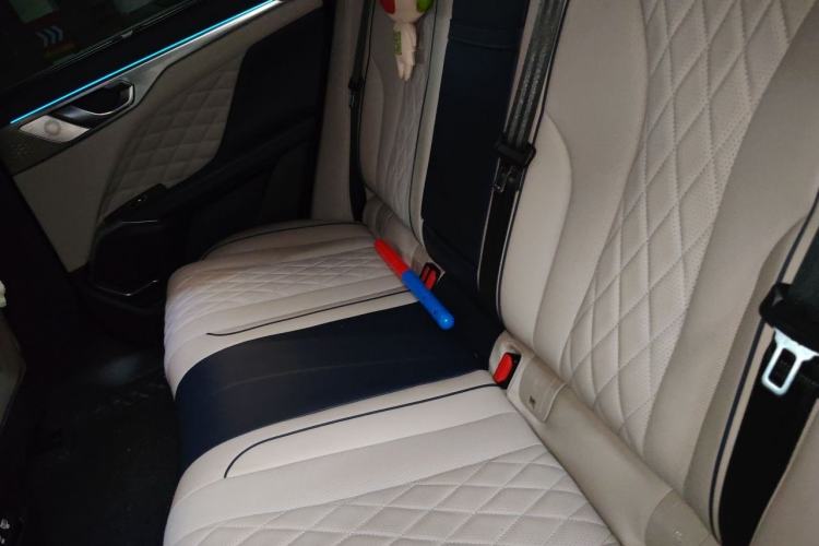 Used Wey Mocha 2021 2.0T Two-Wheel-Drive Premium Edition Left Rear Seat