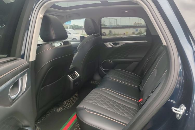 Used Wey Mocha 2021 2.0T Two-Wheel-Drive Premium Edition Left Rear Seat