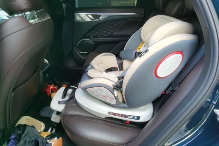 Used Wey Mocha 2021 2.0T Two-Wheel-Drive Premium Edition Left Rear Seat