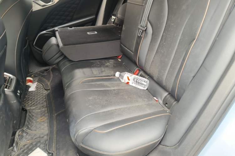 Used Wey Mocha 2021 2.0T Two-Wheel-Drive Ultra-Strong Version Left Rear Seat