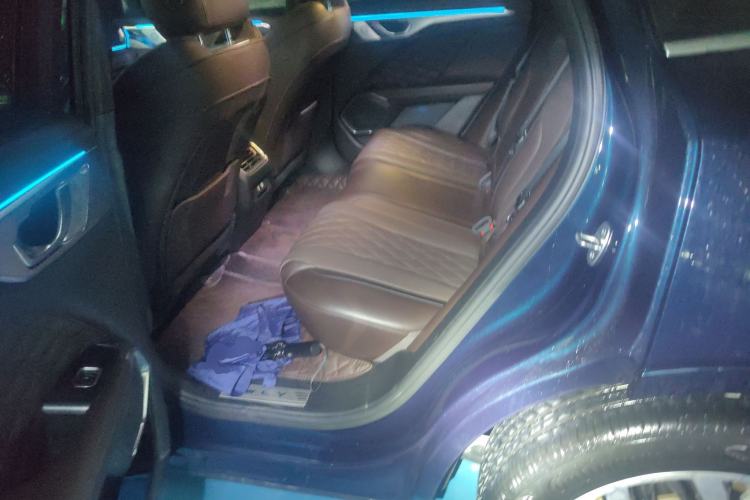 Used Wey Mocha 2021 2.0T Four-Wheel Drive Premium Edition Left Rear Seat