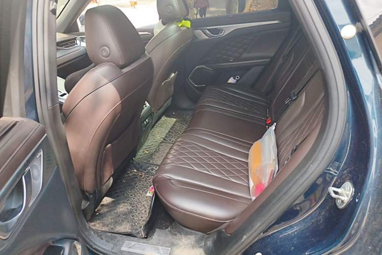 Used Wey Mocha 2021 2.0T Four-Wheel Drive Premium Edition Left Rear Seat