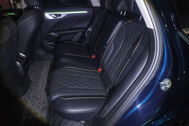 Used Wey Mocha 2021 2.0T Two-Wheel-Drive Premium Edition Left Rear Seat