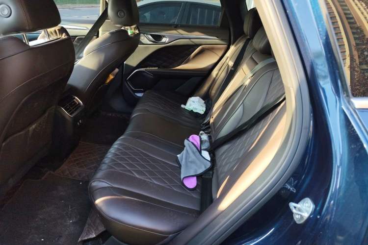 Used Wey Mocha 2021 2.0T Four-Wheel Drive Premium Edition Left Rear Seat