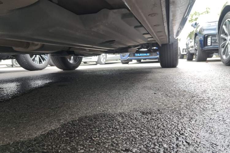 Used Wey Mocha 2021 2.0T Two-Wheel-Drive Ultra-Strong Version Left Side Sill