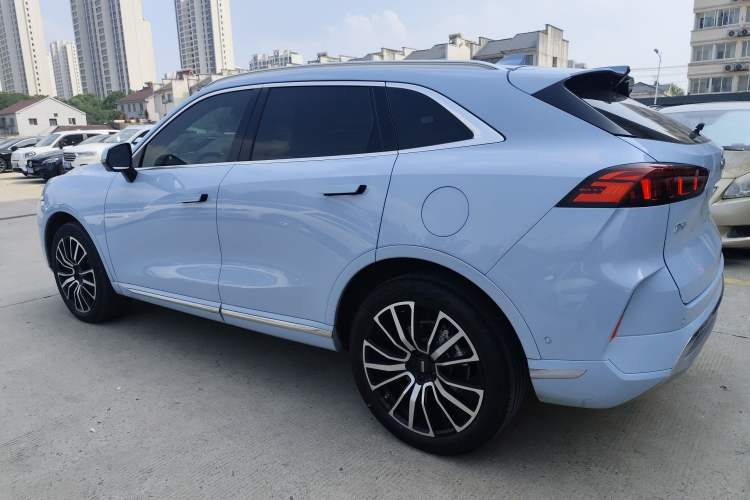 Used Wey Mocha 2021 2.0T Four-Wheel Drive Premium Edition Left Side
