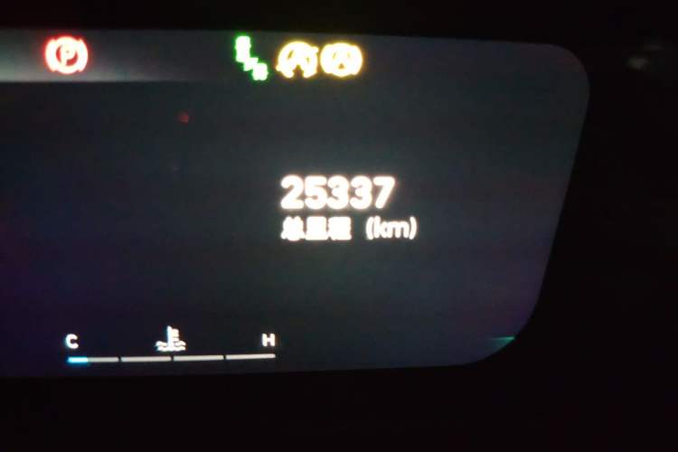 Used Wey Mocha 2021 2.0T Four-Wheel Drive Premium Edition Odometer Close Up