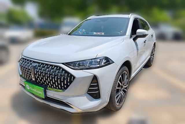 Used Wey Mocha 2021 2.0T Two-Wheel-Drive Premium Edition