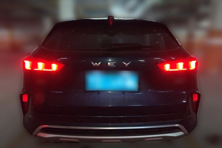 Used Wey Mocha 2021 2.0T Two-Wheel Drive Special Edition Rear