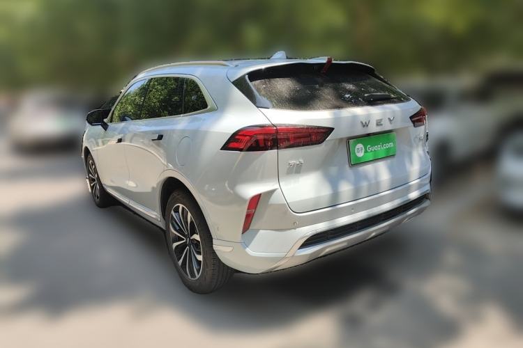 Used Wey Mocha 2021 2.0T Two-Wheel-Drive Premium Edition Rear Left 45 Deg