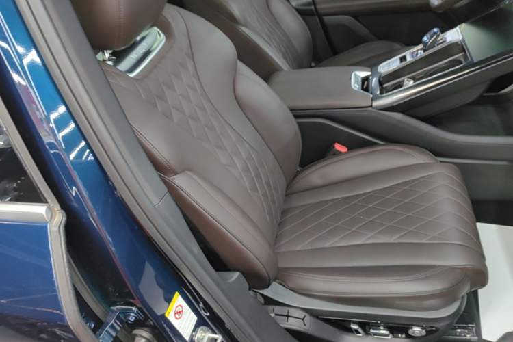 Used Wey Mocha 2021 2.0T Two-Wheel-Drive Premium Edition Right Front Seat