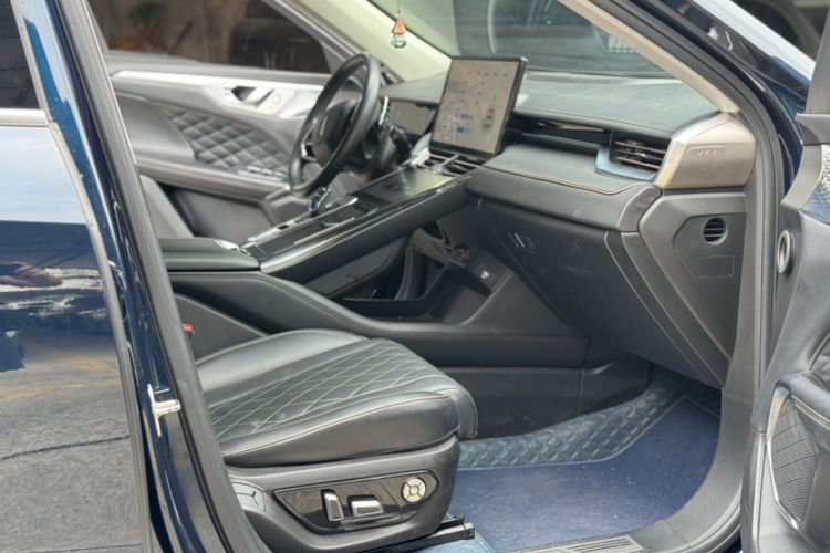Used Wey Mocha 2021 2.0T Two-Wheel-Drive Premium Edition Right Front Seat