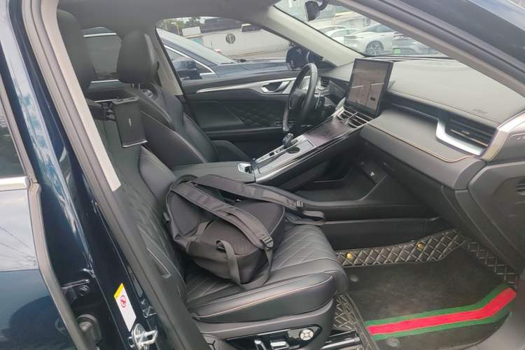 Used Wey Mocha 2021 2.0T Two-Wheel-Drive Premium Edition Right Front Seat