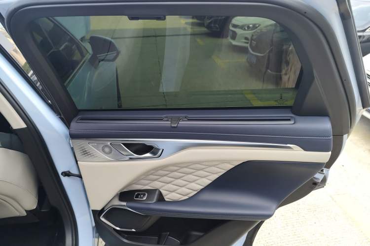 Used Wey Mocha 2021 2.0T Four-Wheel Drive Premium Edition Right Rear Door Interior