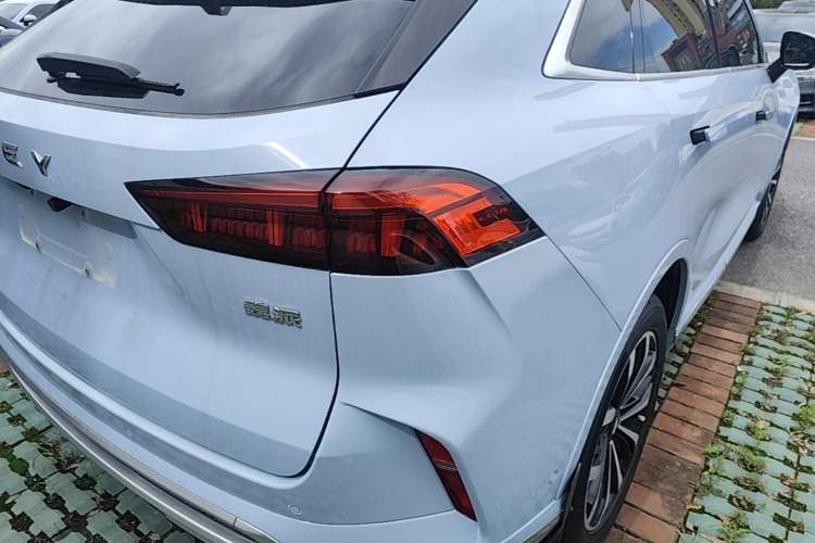 Used Wey Mocha 2021 2.0T Two-Wheel-Drive Premium Edition Right Rear Taillight